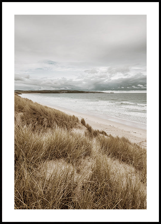 Grass On The Beach Poster