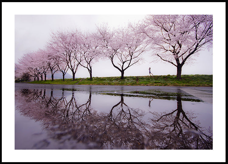 Rain of spring
