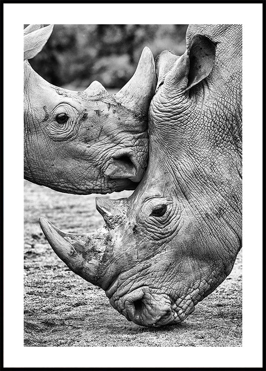 Face to face