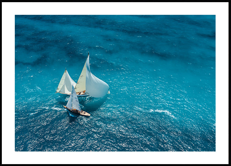 Croisement bleu