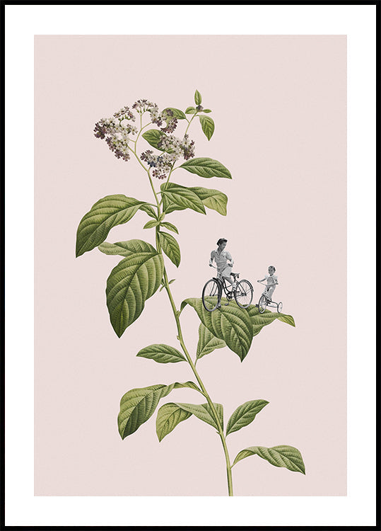 Botanical cycling