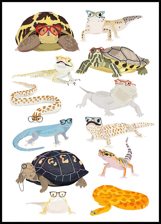 A1 Reptiles In Glasses