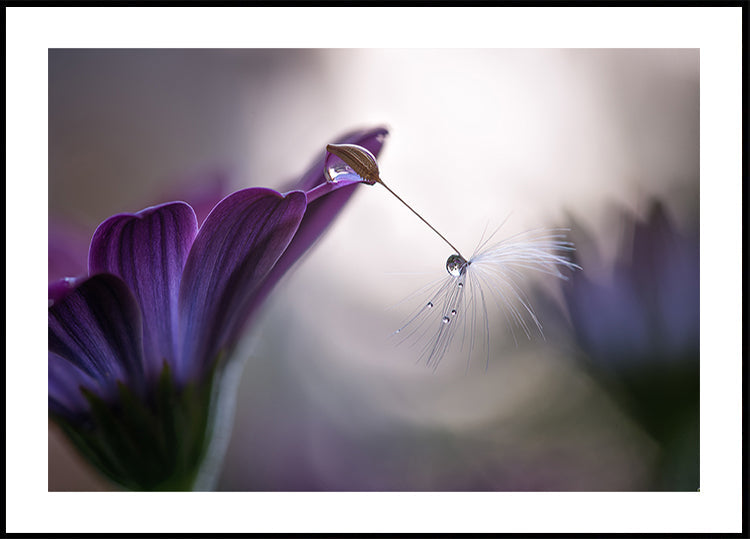Purple rain