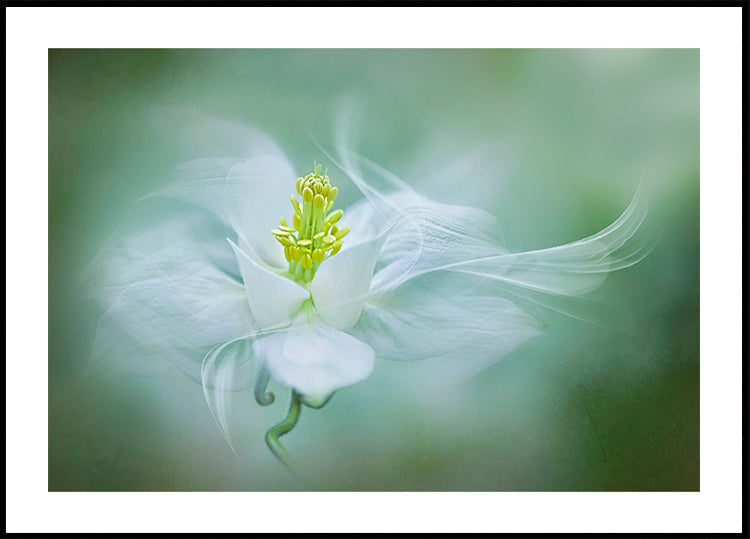 Mystical