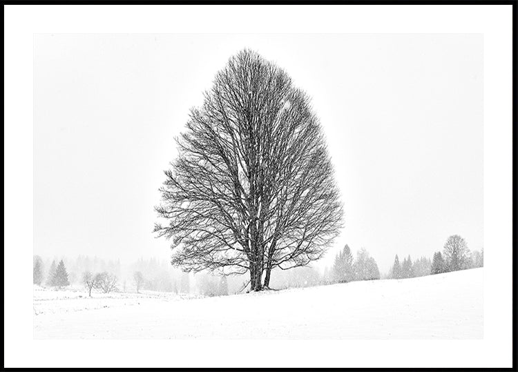 LONELY TREE Poster