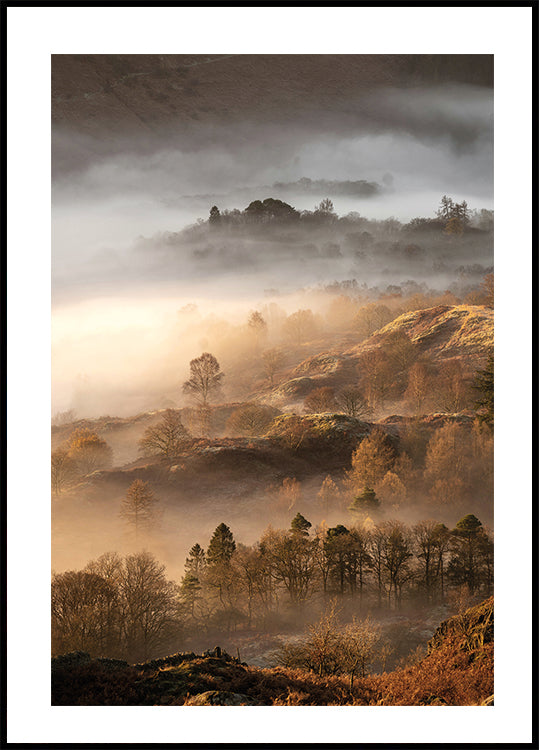 Wonderful Autumn Morning Poster