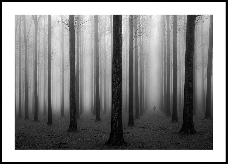 In a Fog
