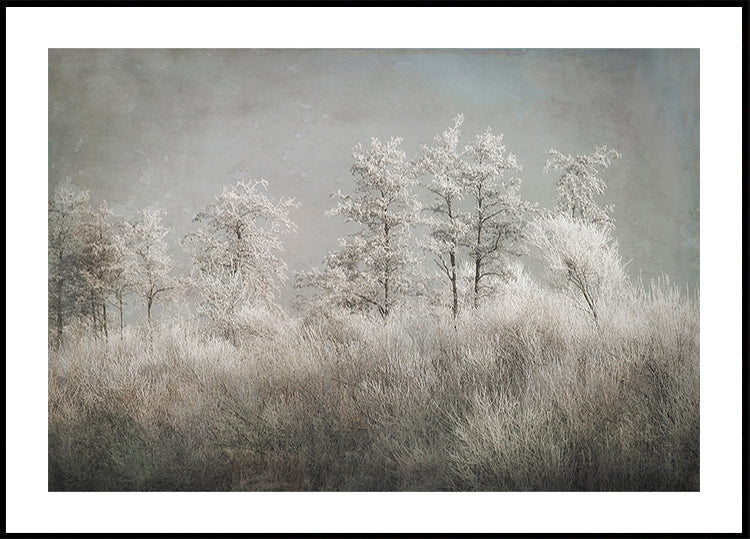 Cold morning Poster