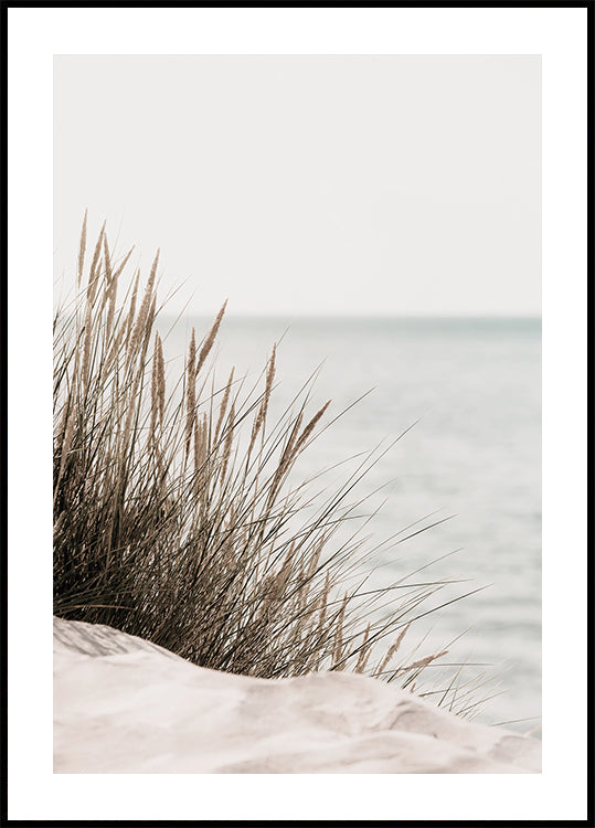 Grass by the Sea Poster