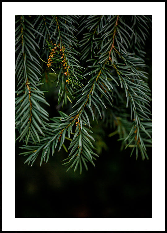 Winter Branches 7 Poster