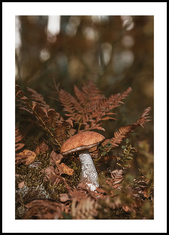 Mushroom in the Forest Poster