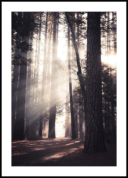 Yosemite Valley Poster
