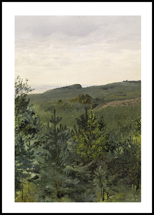 Spruce Saplings in Sandy Soil Study By Werner Holmberg Poster