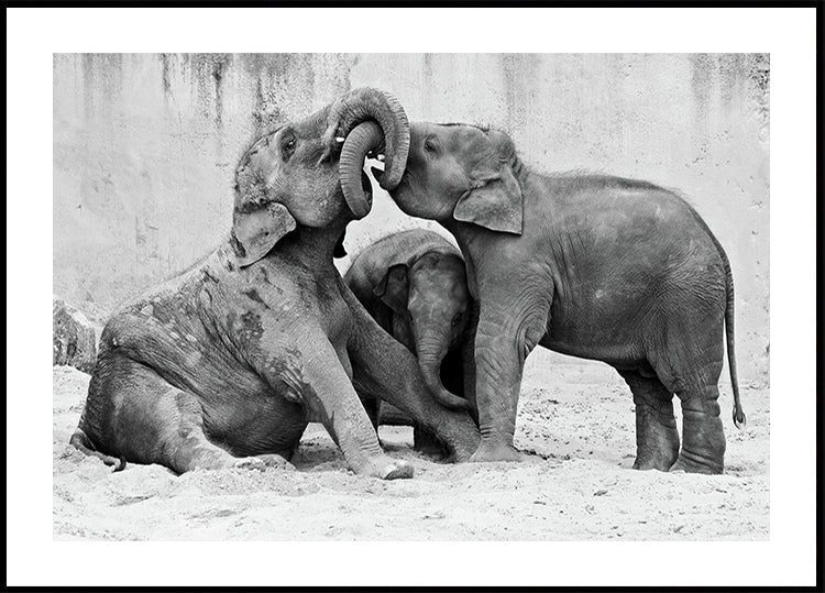 MÉNAGE À TROIS