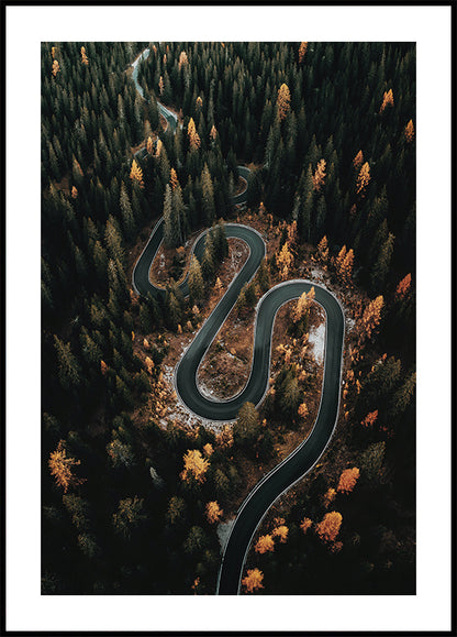 Winding Road in the Forest Poster