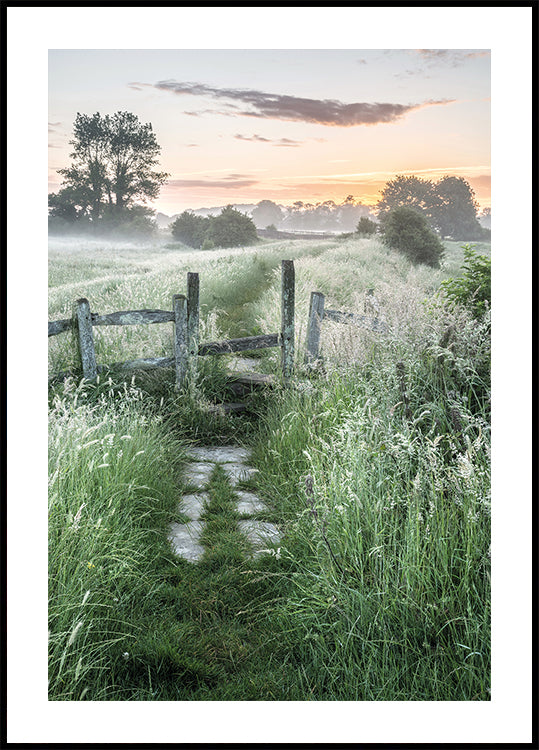 Misty Summer Dawn Poster