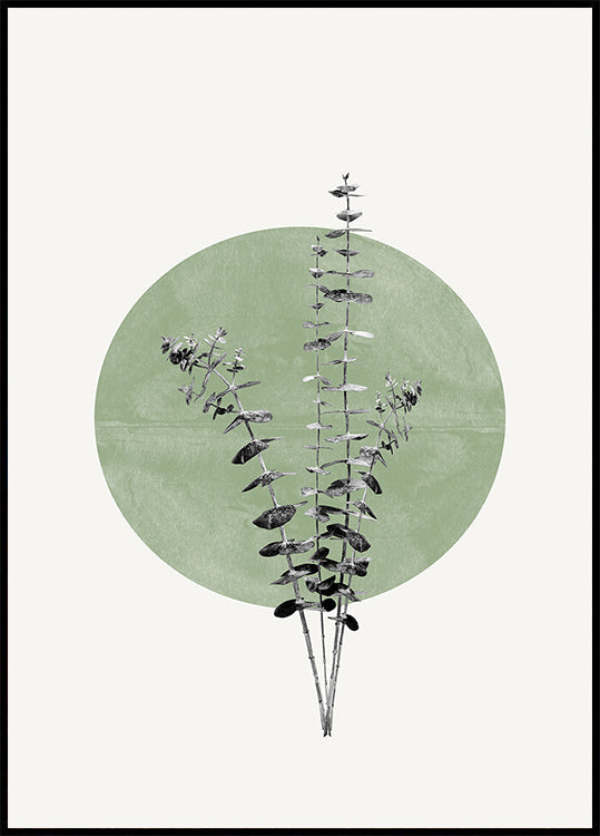 Nature & Echo  Poster