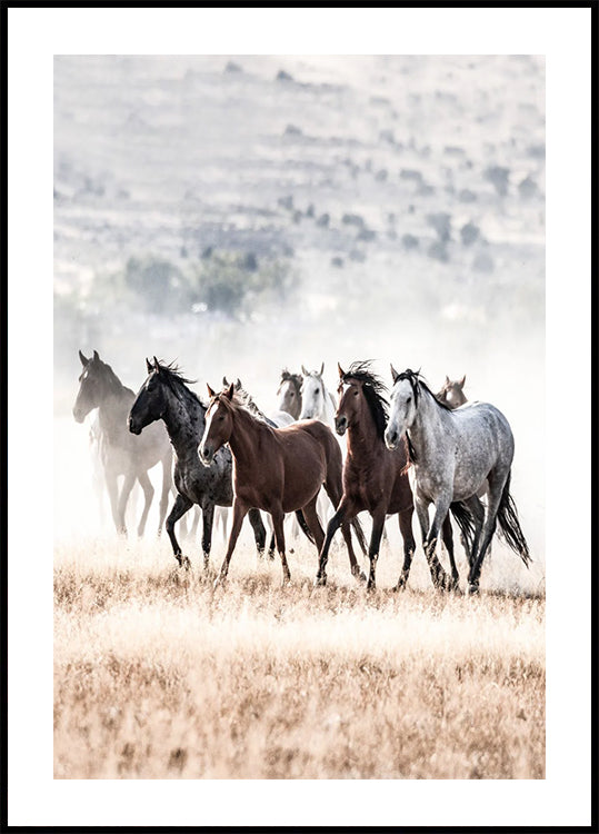 Wild Horses Running Free Nature Poster