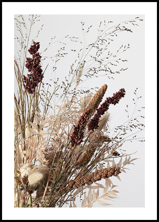 Dried_001