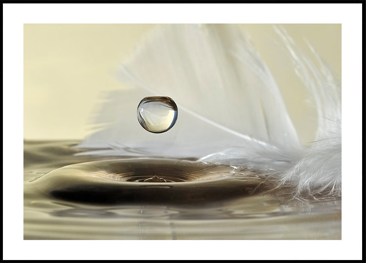 Feathers drop