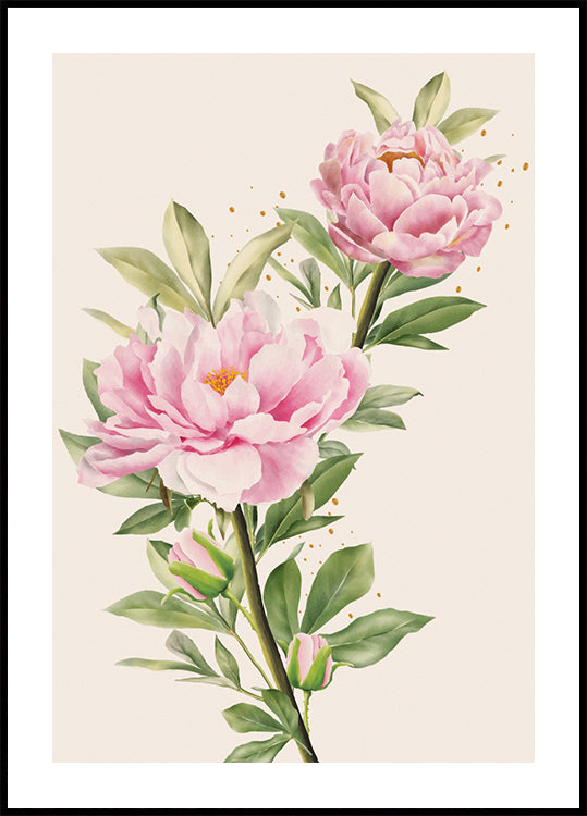 Blooming Peonies Poster