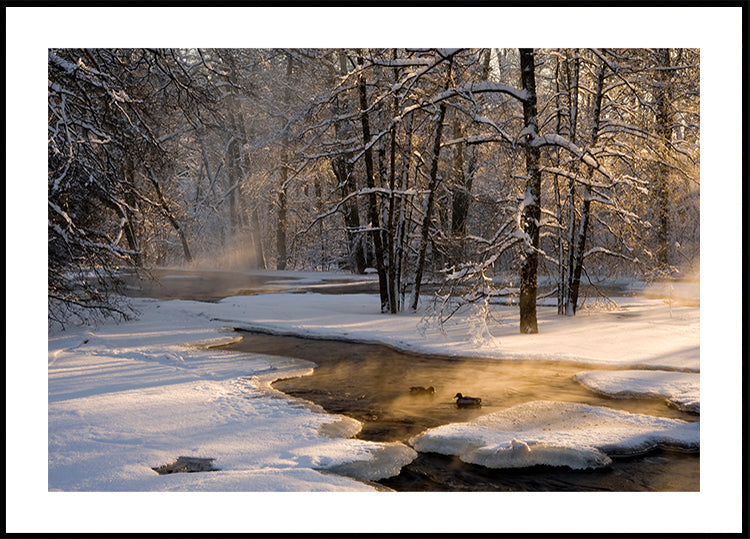 The first light