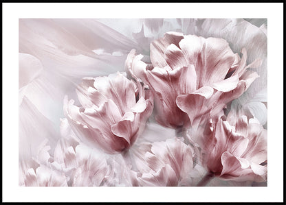 Tender Pink Tulips Poster