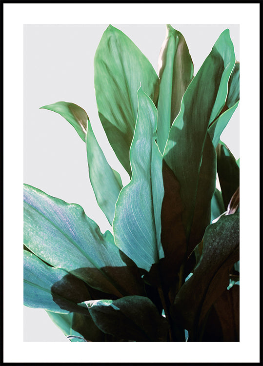 Green Leaves Poster