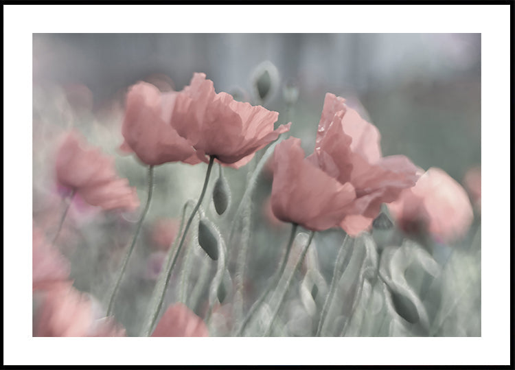 Softly