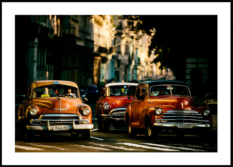 Come with me in the morning light Poster