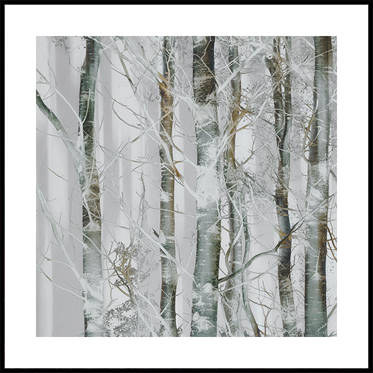 Silver branches Poster