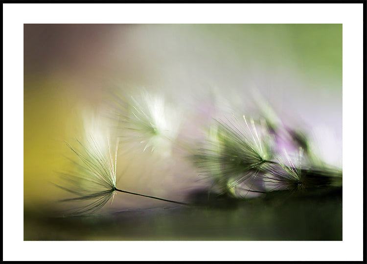 In the morning