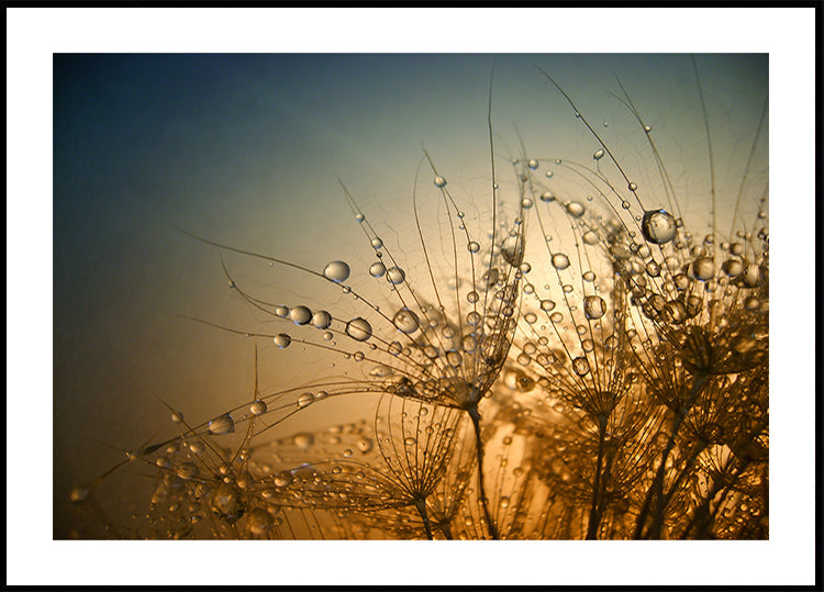 Tender is the Night Poster