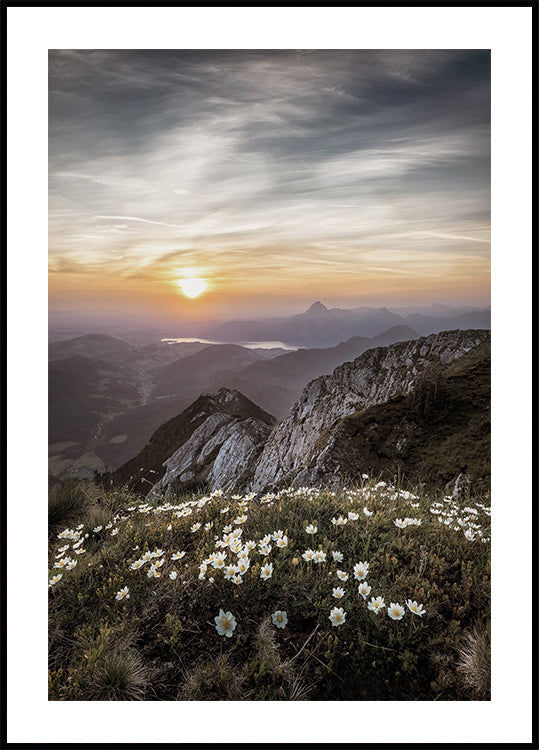 Flowers On The Mountain Poster