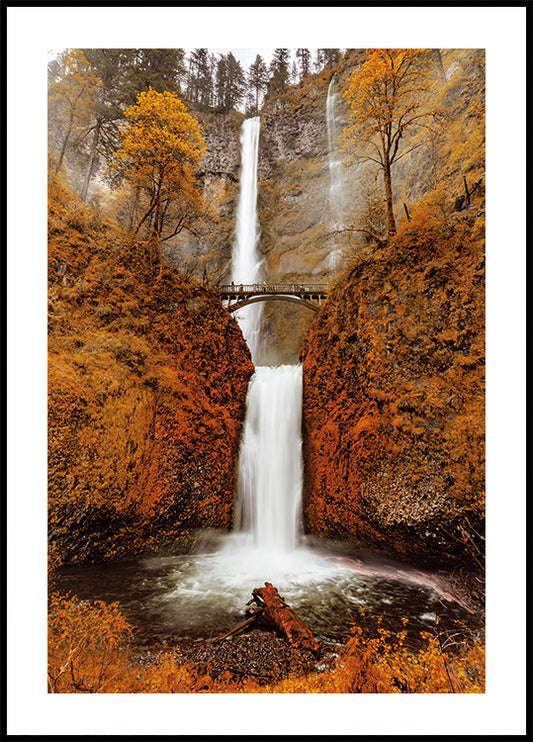 Autumn Waterfall in the Forest Poster