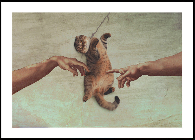Touch of the Kitty