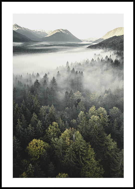 Misty Mountain Forest Poster