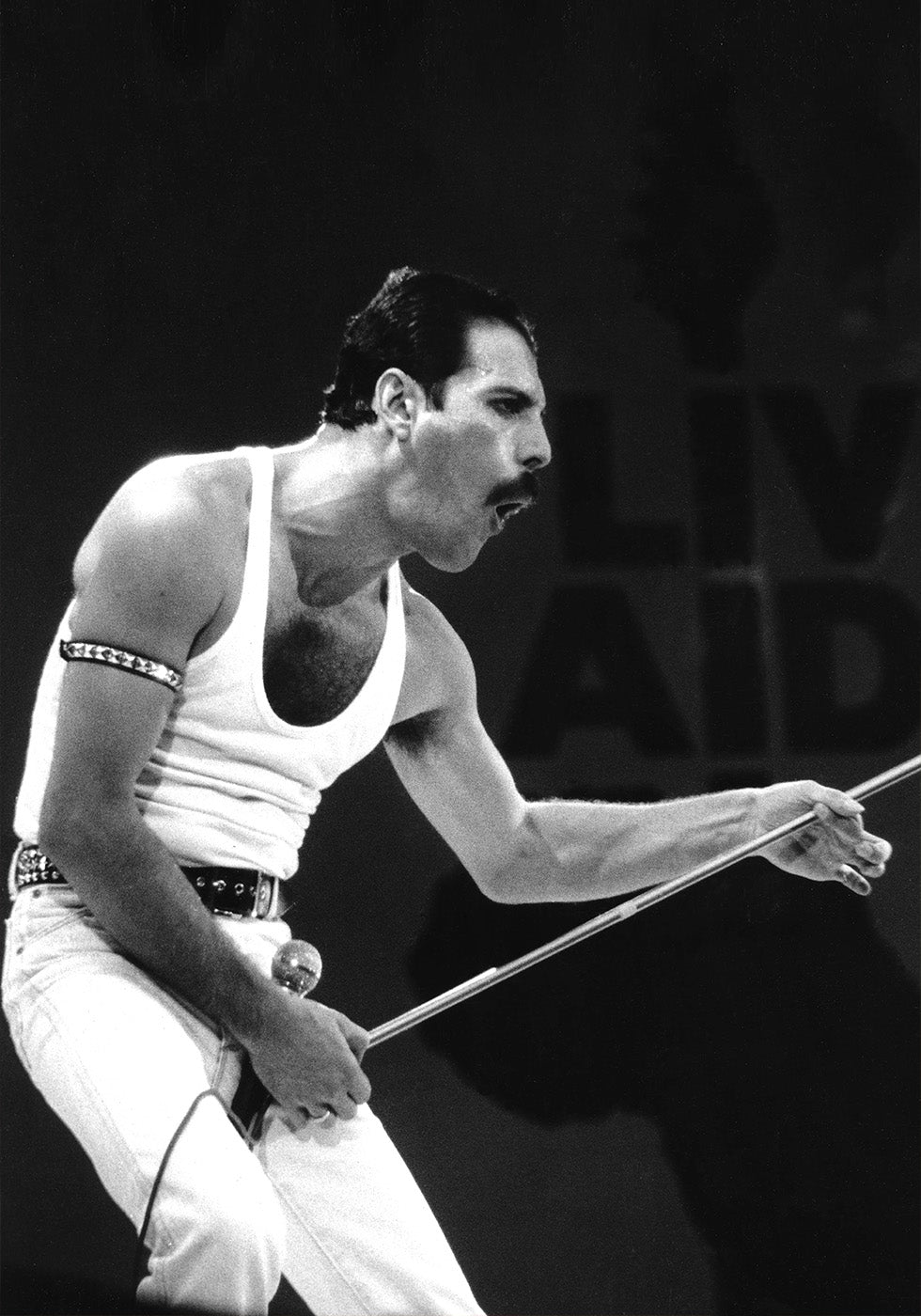 Freddie Mercury on Stage Poster