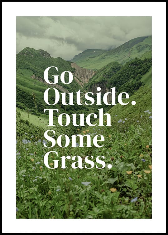Go Outside Touch Some Grass Poster