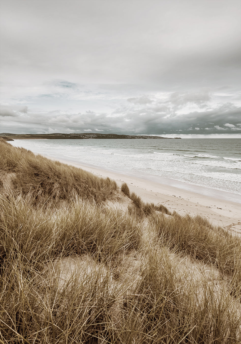 Grass On The Beach Poster