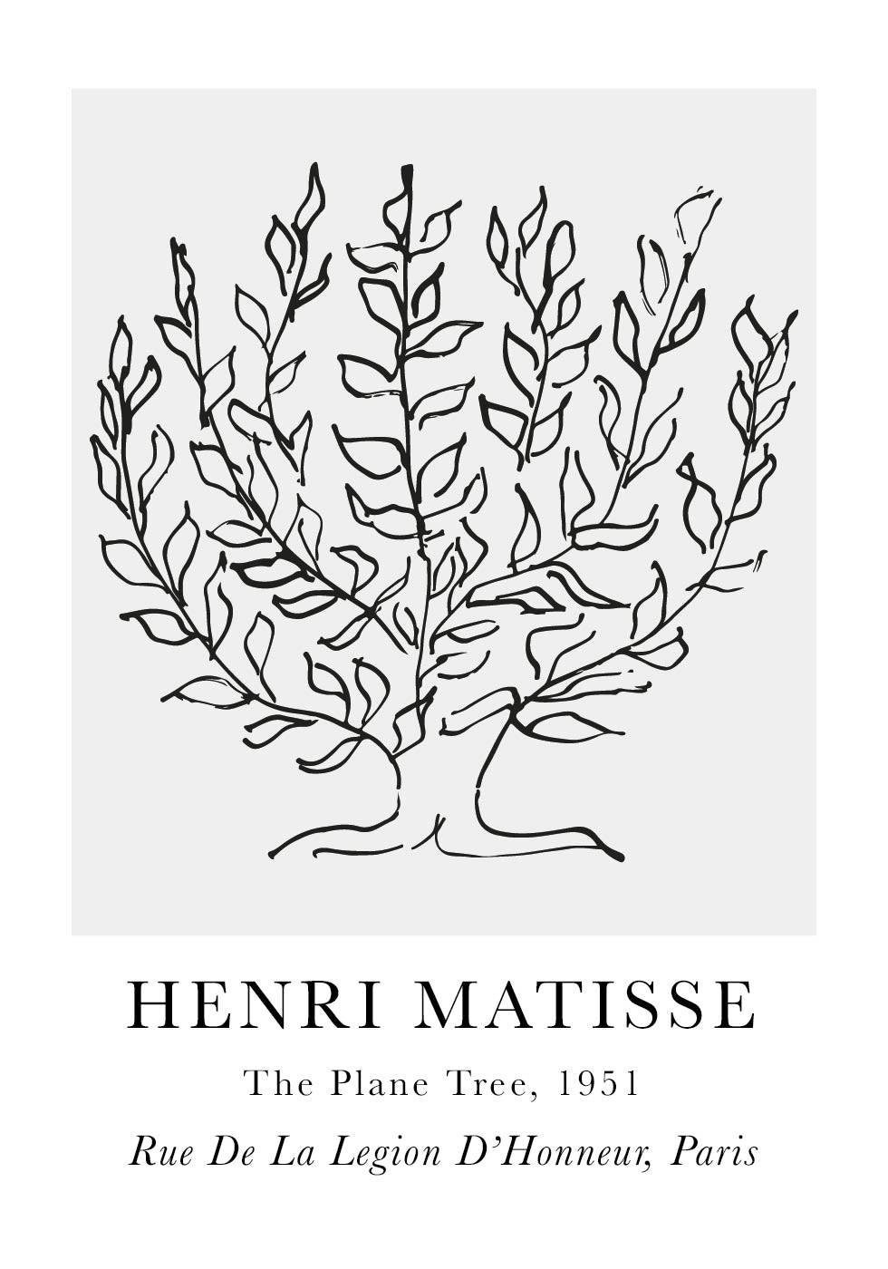 H. Matisse The Plane Tree Poster