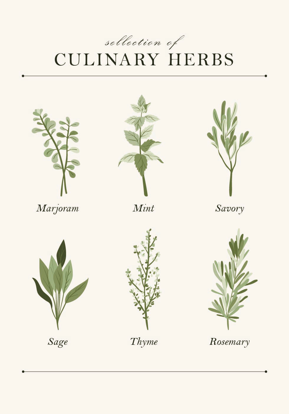 Herbs Poster