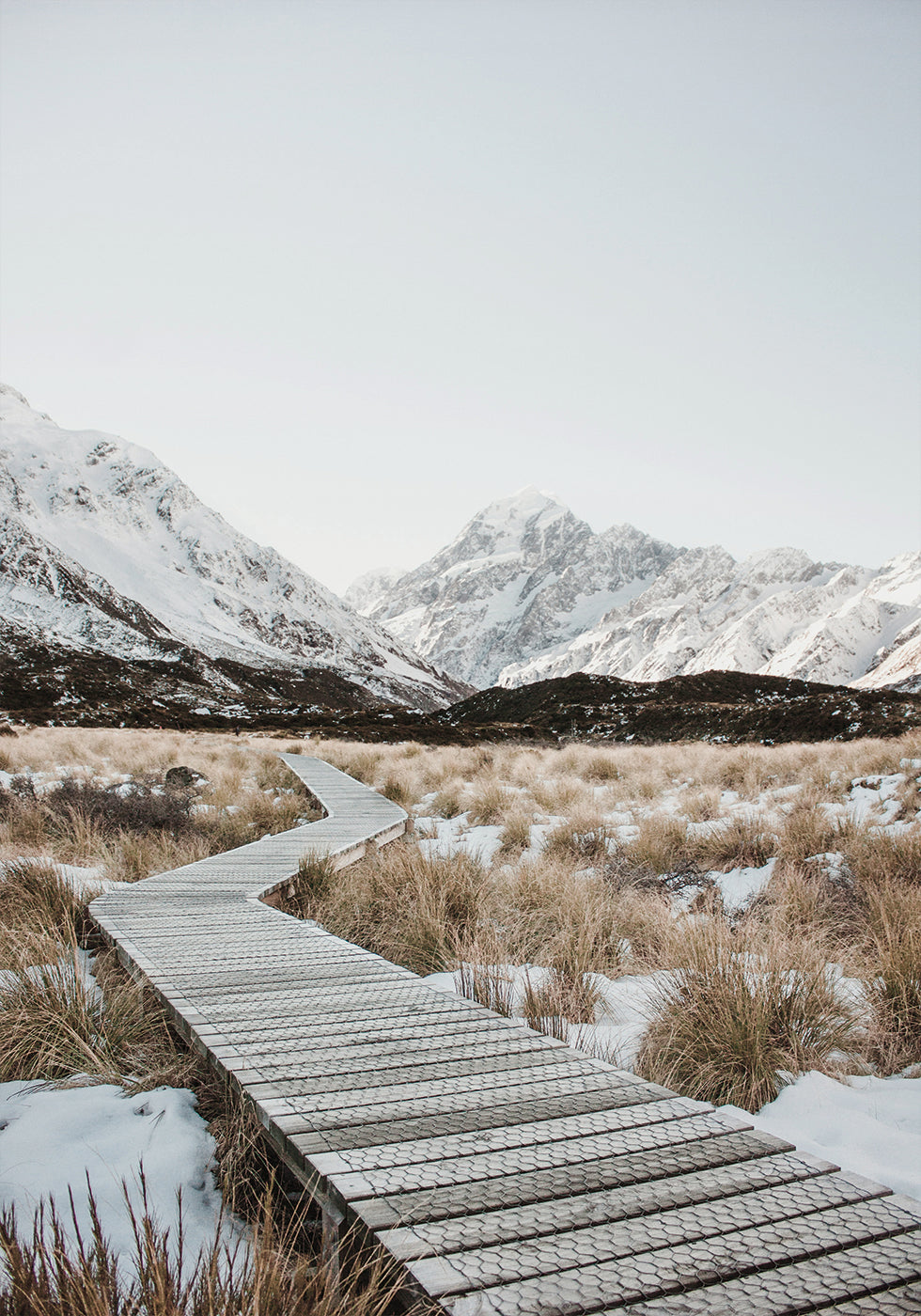 Hooker Valley Track Poster