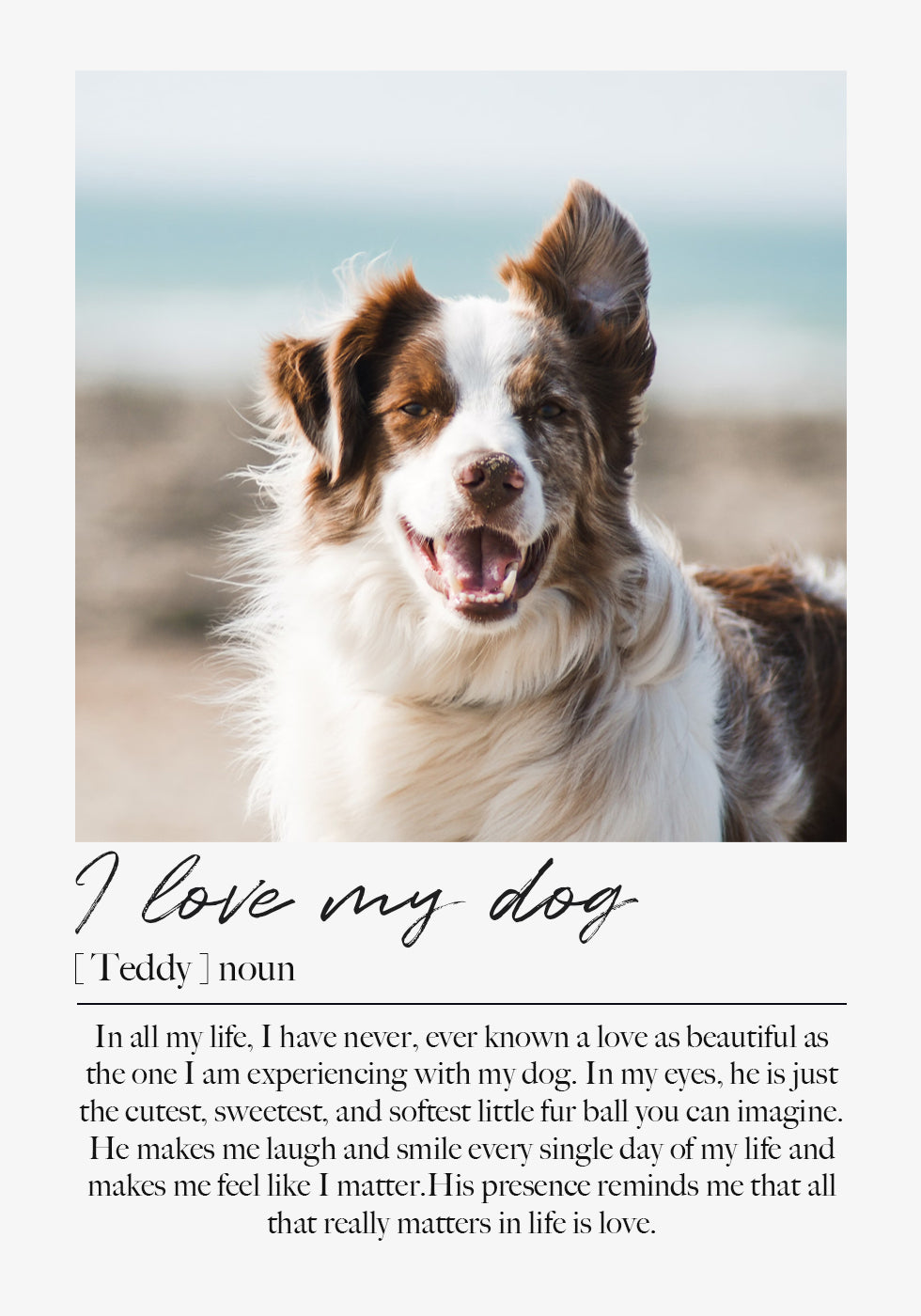 Custom Pet Portrait Poster