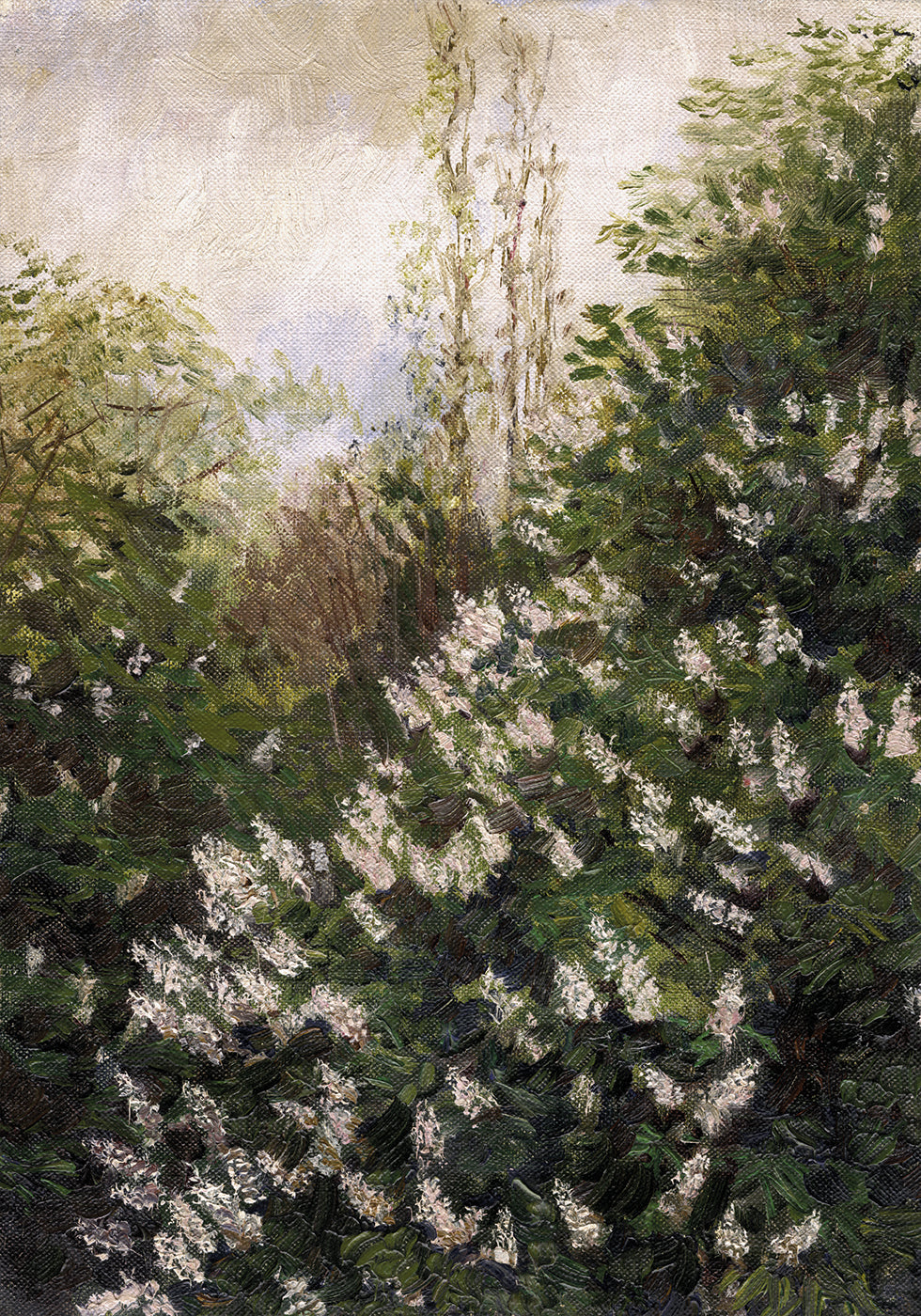 Lilac Blossoms by Ladislav Mednyánszky Poster