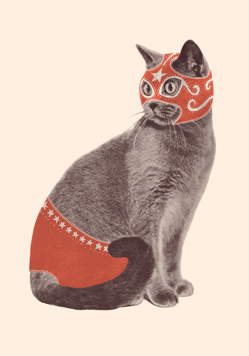 Chat Catcheur Poster