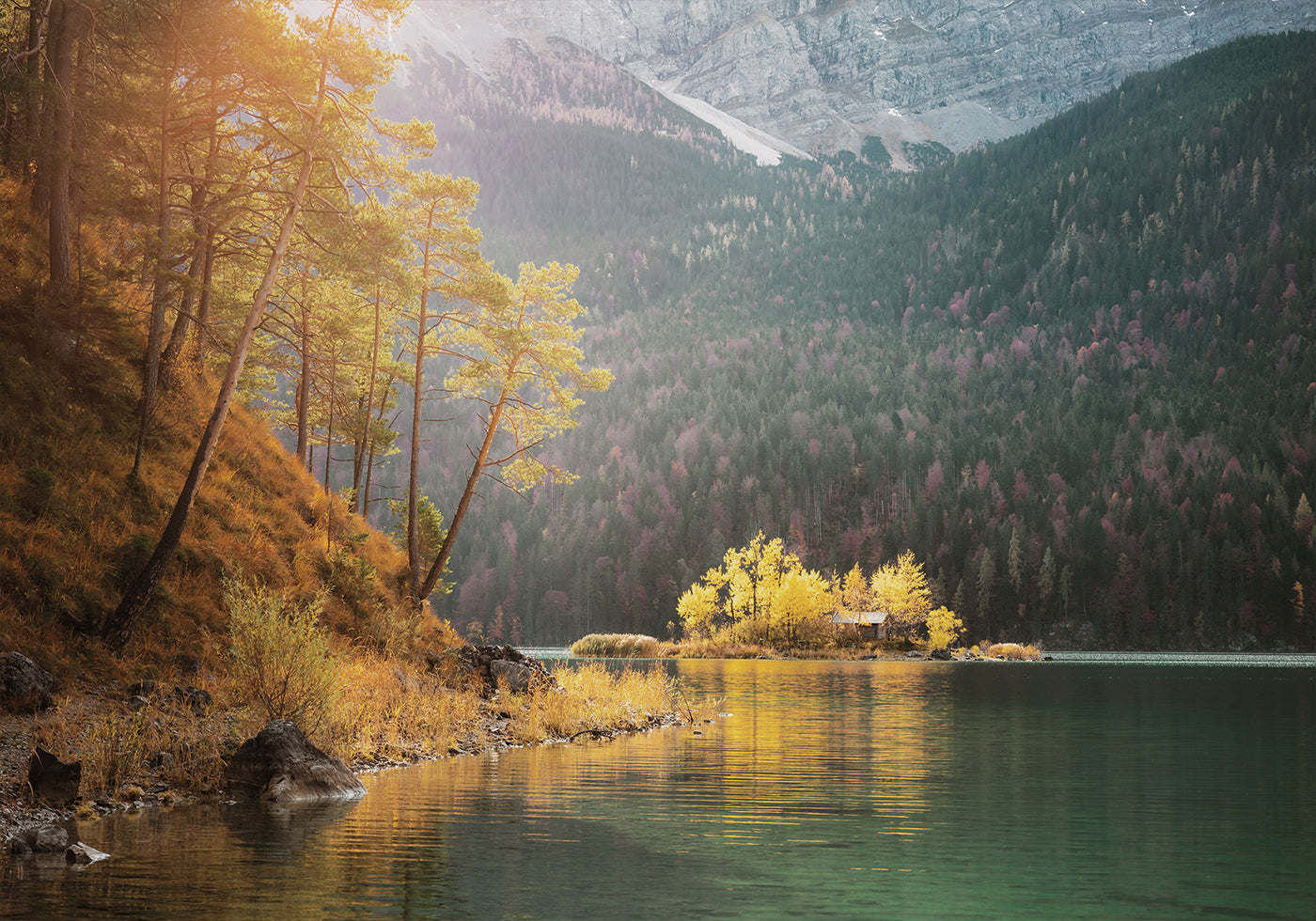 Morning View Of The Lake Poster