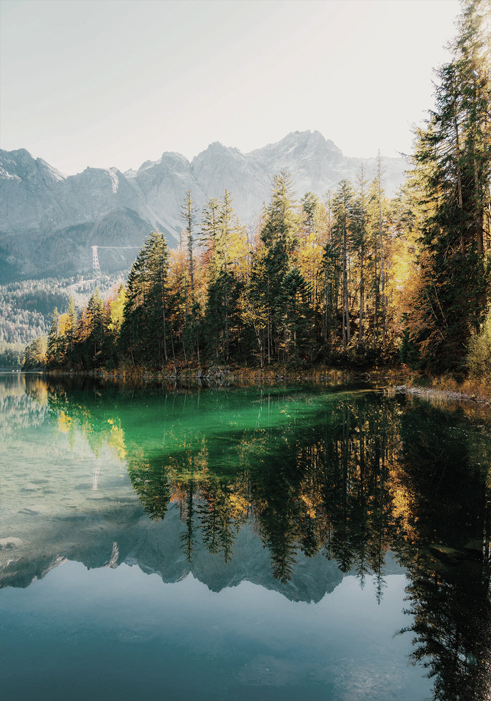 Morning View Of The Lake Poster