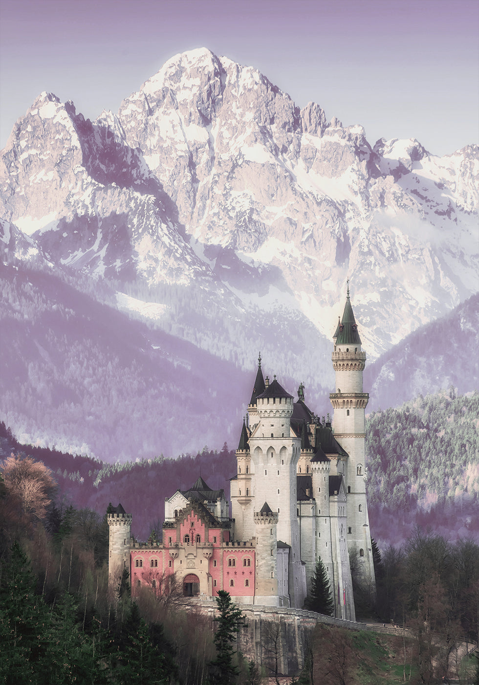 Neuschwanstein Castle and Alpine Mountains Poster