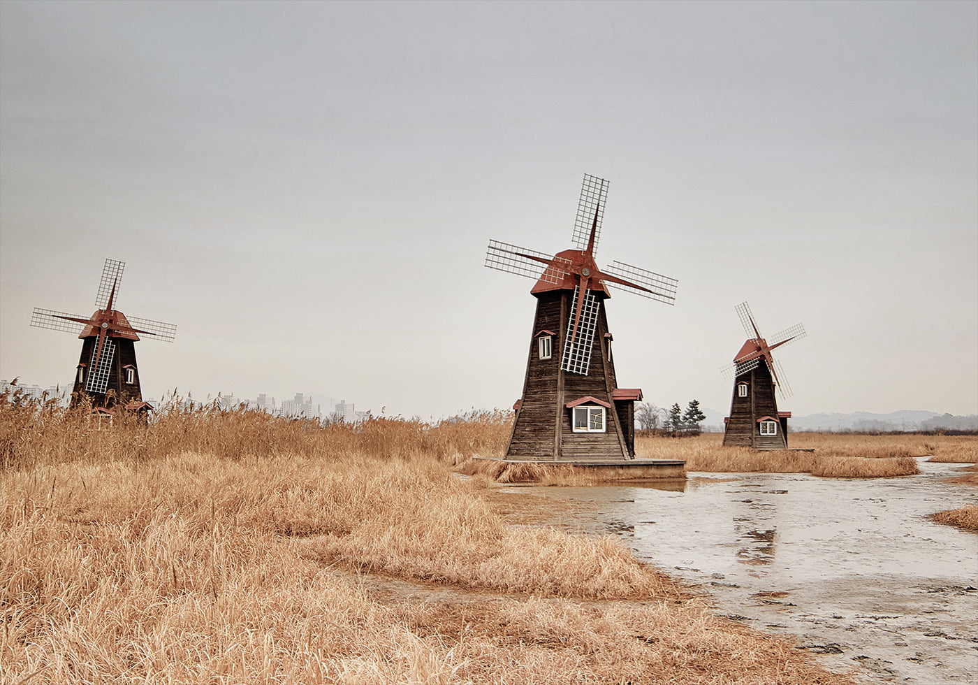 Old Windmills in the Countryside Poster